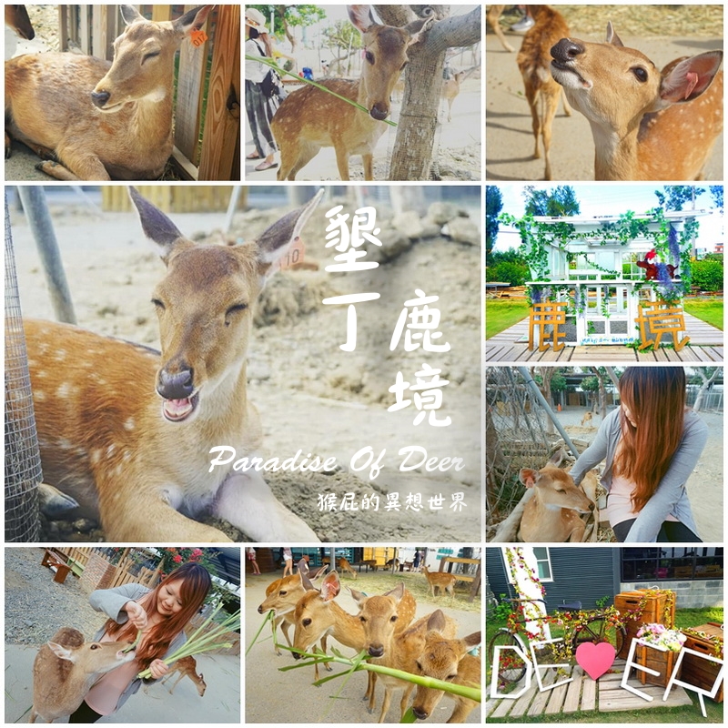 曼波泰式餐廳｜墾丁大街人氣美食，超好吃泰式料理超下飯，大推打拋豬、紅咖哩椰汁牛肉 @猴屁的異想世界