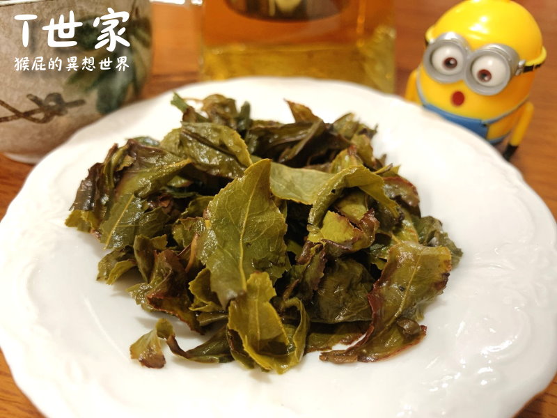 T世家｜台灣茶葉/茶包推薦，極品凍頂　烏龍茶送禮自用兩相宜，阿里山高山茶無鋁釘茶包喝茶好安心 @猴屁的異想世界