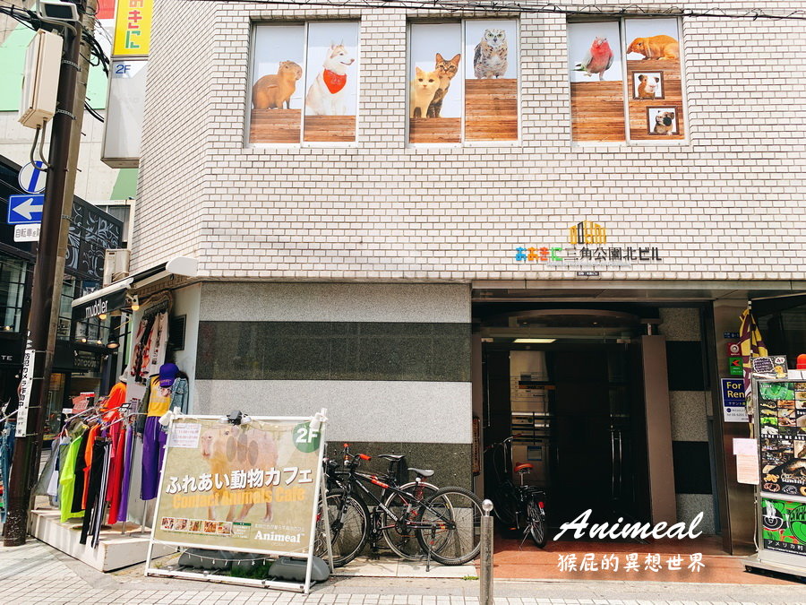 Animeal｜日本大阪超療癒水豚君咖啡廳，可以跟動物互動的咖啡廳，大阪超可愛迷你動物園咖啡廳 @猴屁的異想世界