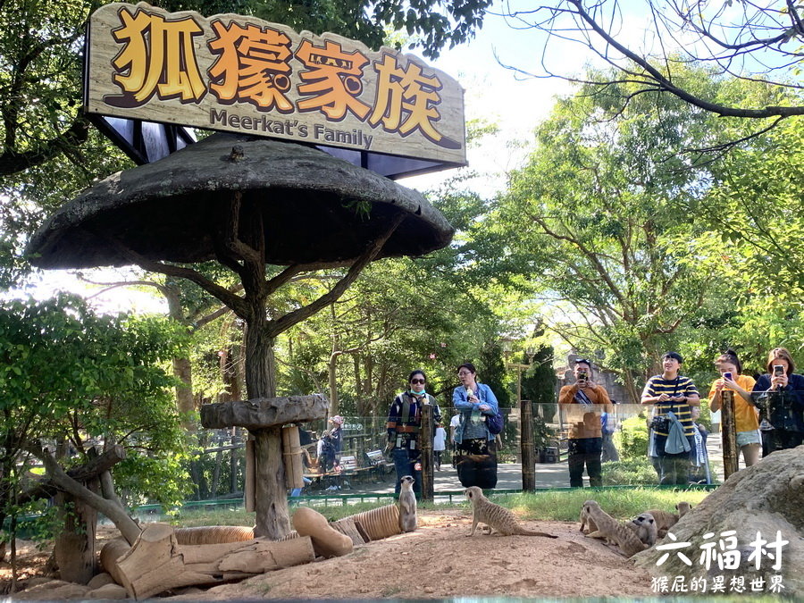 六福村主題樂園｜新竹景點推薦，台灣最具規模的開放式野生動物園，六福村夜間遊行超精彩 @猴屁的異想世界