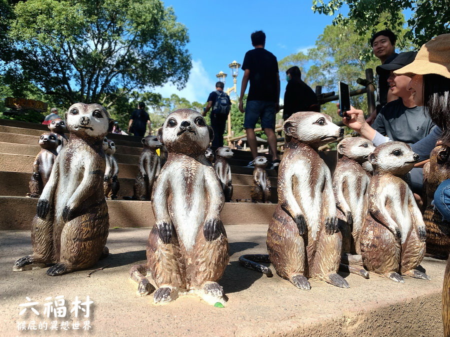 六福村主題樂園｜新竹景點推薦，台灣最具規模的開放式野生動物園，六福村夜間遊行超精彩 @猴屁的異想世界