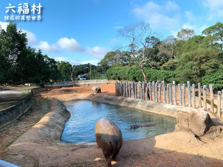 六福村主題樂園｜新竹景點推薦，台灣最具規模的開放式野生動物園，六福村夜間遊行超精彩 @猴屁的異想世界