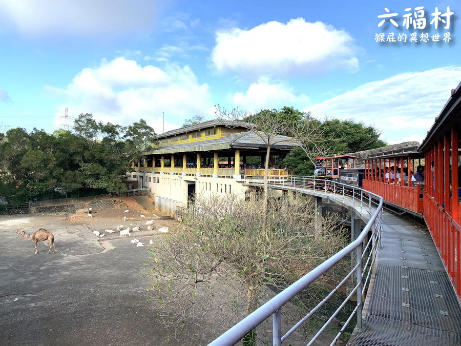 六福村主題樂園｜新竹景點推薦，台灣最具規模的開放式野生動物園，六福村夜間遊行超精彩 @猴屁的異想世界