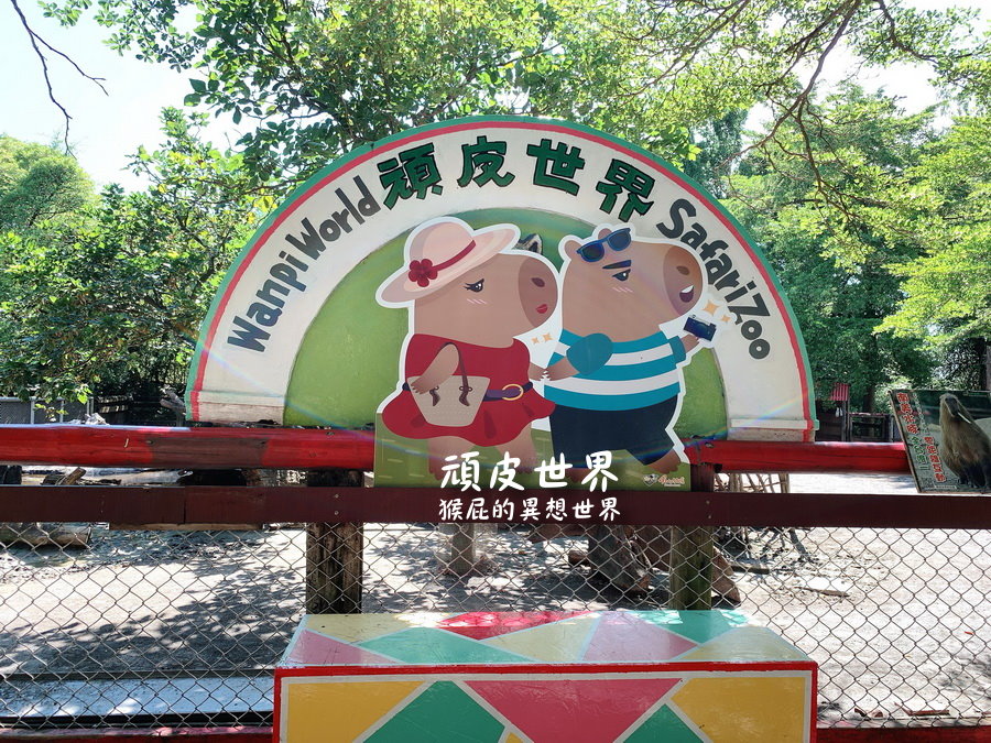 頑皮世界野生動物園｜台南景點推薦，與水豚君近距離互動，水豚互動預約教學 @猴屁的異想世界