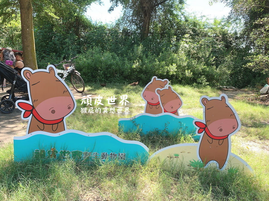 頑皮世界野生動物園｜台南景點推薦，與水豚君近距離互動，水豚互動預約教學 @猴屁的異想世界