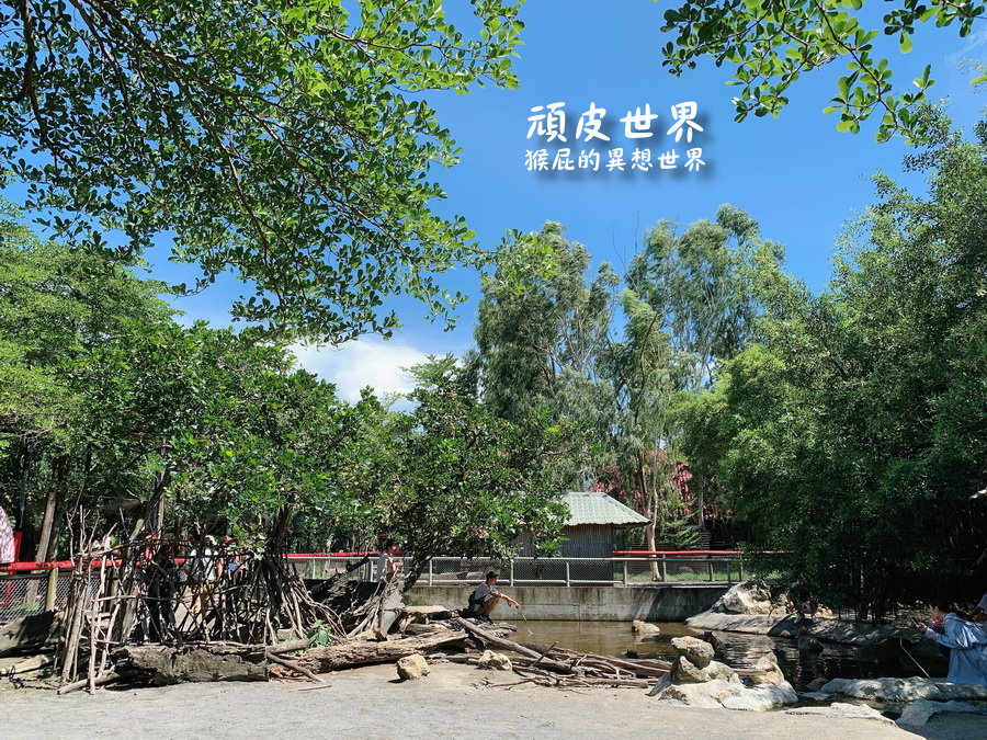 頑皮世界野生動物園｜台南景點推薦，與水豚君近距離互動，水豚互動預約教學 @猴屁的異想世界