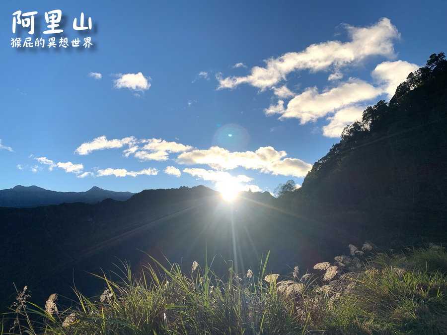 阿里山看日出奇遇記｜阿里山小火車看日出變成阿里山北極星包車看日出，差點以為遇到詐騙集團 @猴屁的異想世界