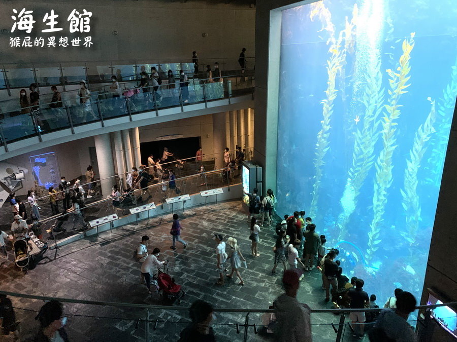 國立海洋生物博物館｜墾丁景點推薦全台最大屏東墾丁海生館，小白鯨超級可愛，偶像劇必拍景點 @猴屁的異想世界