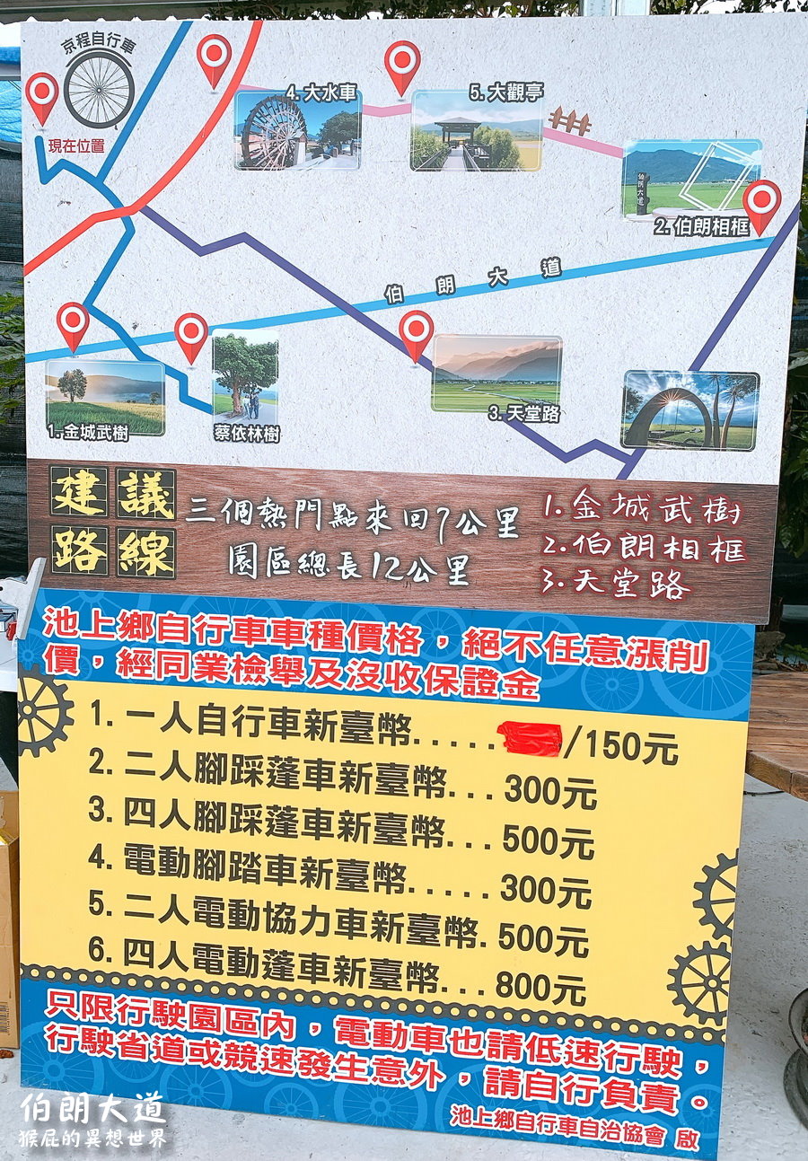 去台東伯朗大道看金城武樹、蔡依林樹！金城武廣告I SEE YOU爆紅台東景點！天堂路美翻！伯朗大道租腳踏車！ @猴屁的異想世界