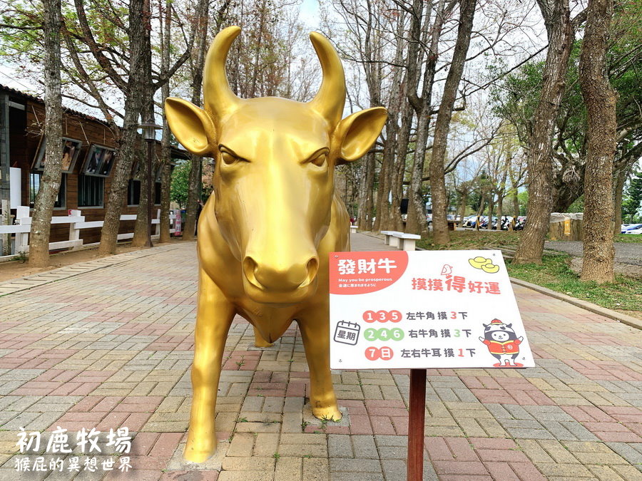 台東初鹿牧場好玩嗎？超多可愛動物享受大自然！初鹿牧場冰淇淋好好吃！ @猴屁的異想世界