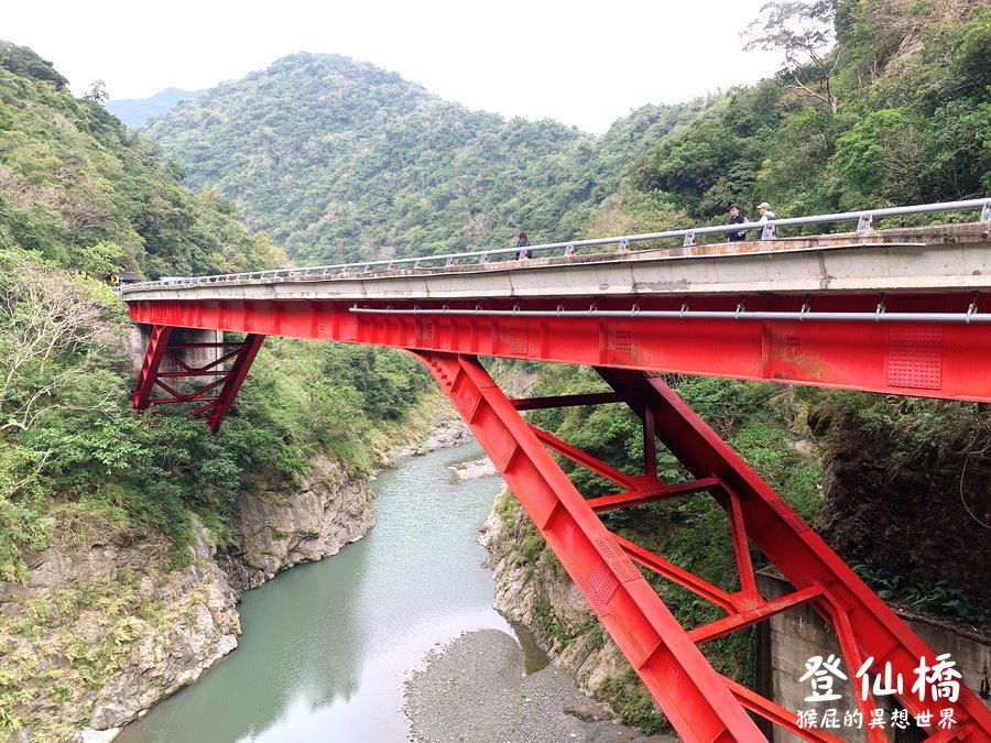 台東看猴子｜登仙橋遊憩區賞獼猴，泰源幽谷路邊猴子軍團出沒，近距離看可愛台灣獼猴 @猴屁的異想世界