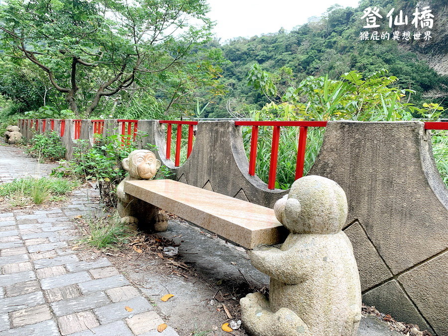 台東看猴子｜登仙橋遊憩區賞獼猴，泰源幽谷路邊猴子軍團出沒，近距離看可愛台灣獼猴 @猴屁的異想世界