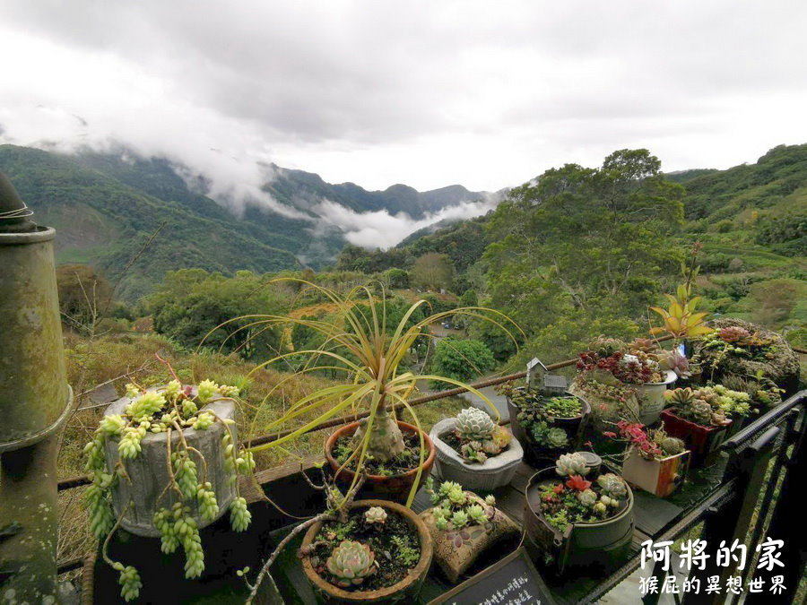 阿將的家23咖啡館｜嘉義阿里山秘境宮崎駿石頭屋，福山雅治也朝聖阿里山景觀咖啡廳 @猴屁的異想世界