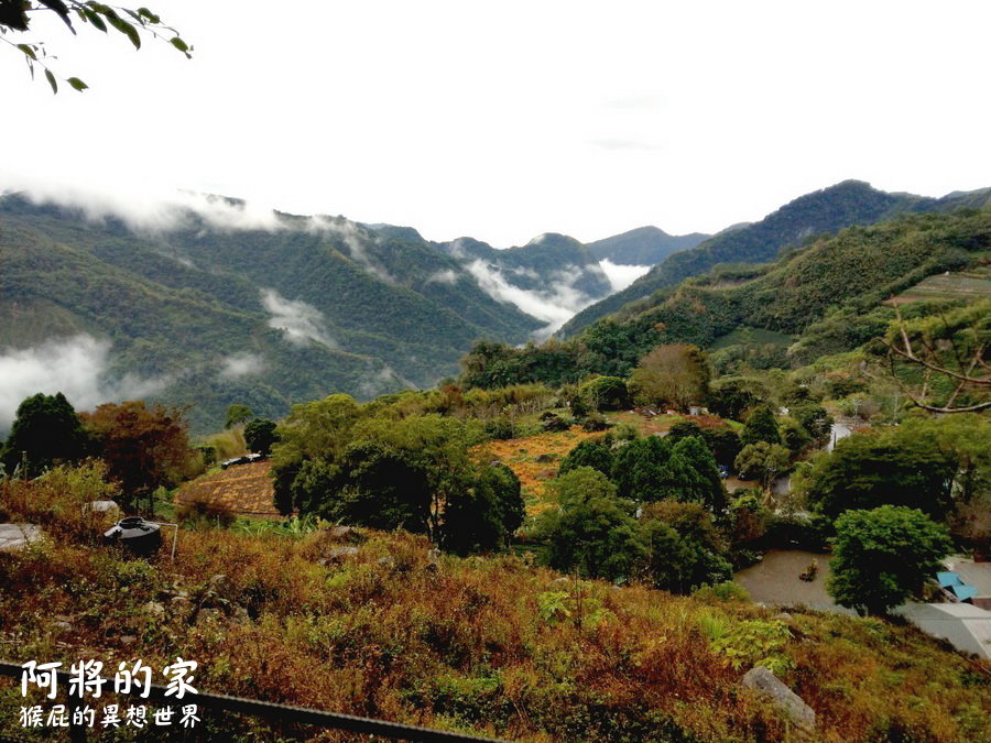 阿將的家23咖啡館｜嘉義阿里山秘境宮崎駿石頭屋，福山雅治也朝聖阿里山景觀咖啡廳 @猴屁的異想世界