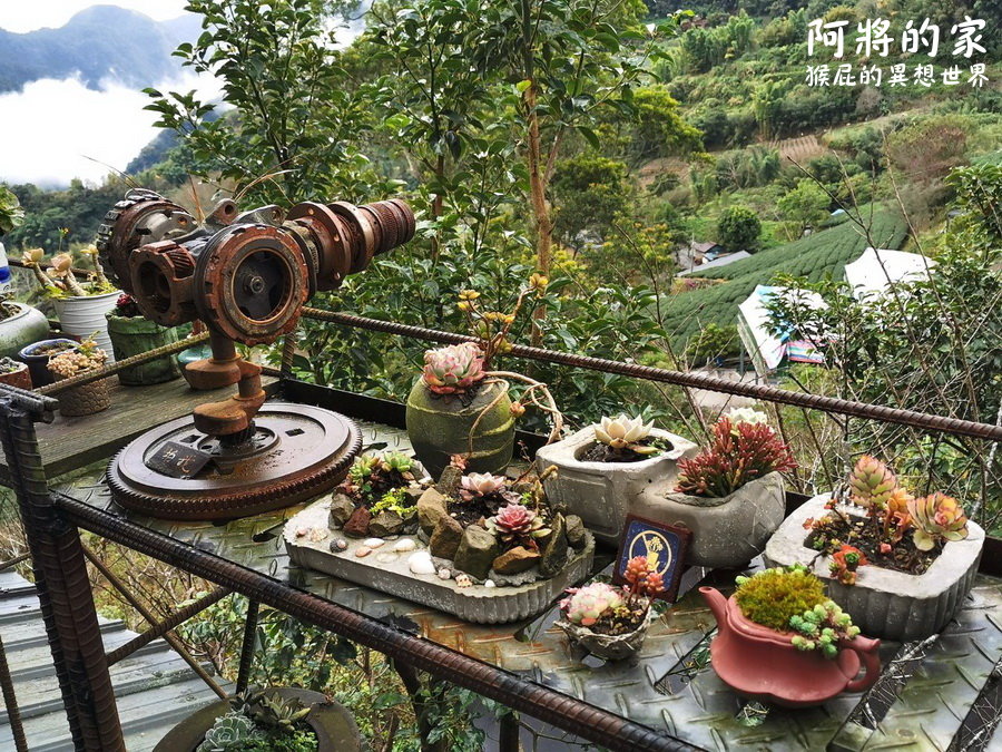 阿將的家23咖啡館｜嘉義阿里山秘境宮崎駿石頭屋，福山雅治也朝聖阿里山景觀咖啡廳 @猴屁的異想世界