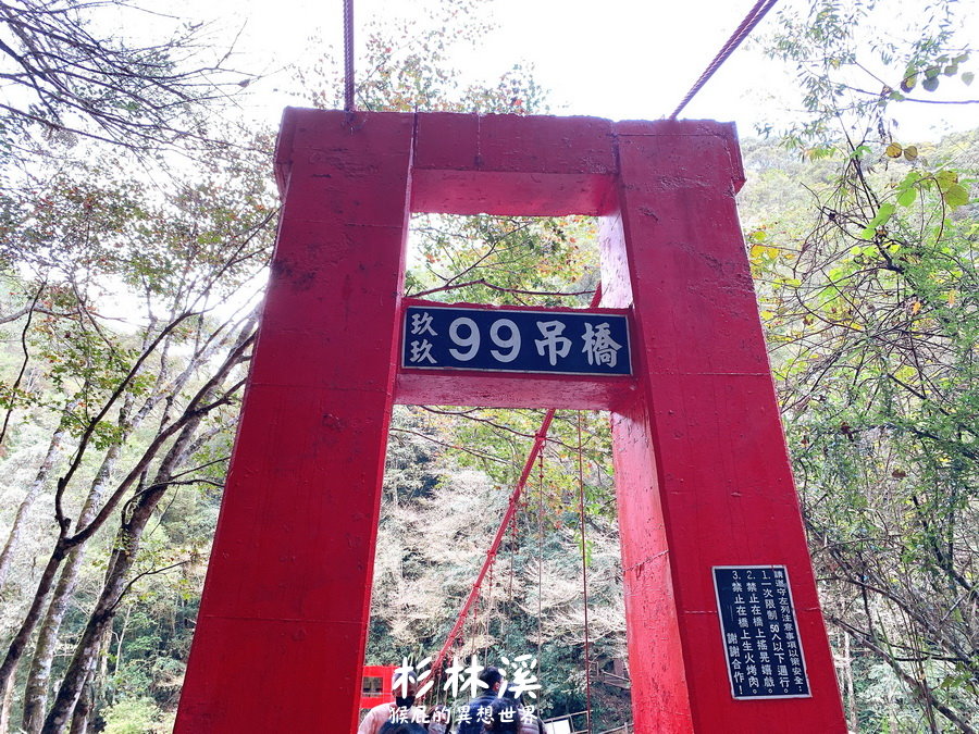 杉林溪怎麼玩｜朝聖松瀧岩瀑布、天地眼、杉林溪巨根！杉林溪賞楓變爬山之旅！杉林溪接駁車搭起來！ @猴屁的異想世界