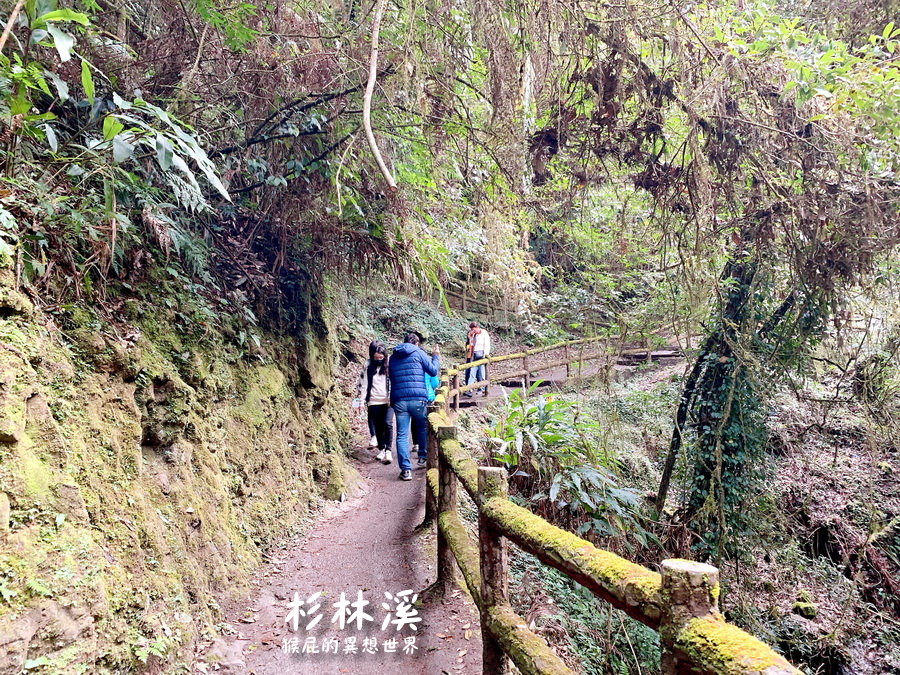 杉林溪怎麼玩｜朝聖松瀧岩瀑布、天地眼、杉林溪巨根！杉林溪賞楓變爬山之旅！杉林溪接駁車搭起來！ @猴屁的異想世界