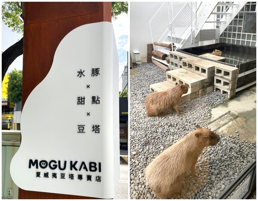 MOGU KABI 夏威夷豆塔專賣店｜台南水豚甜點店，一開幕就爆紅超可愛水豚甜點，市區就可以看水豚君 @猴屁的異想世界