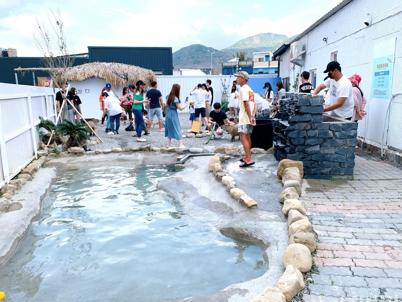 墾丁鹿ㄦ島水豚生態園區｜全台唯一與水豚一起游泳就在墾丁，豚門超可愛，敲豚石超有趣 @猴屁的異想世界