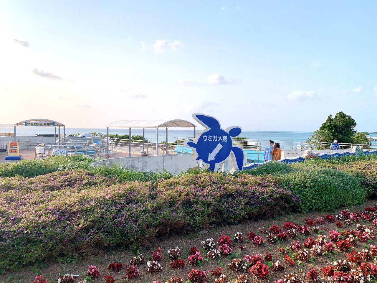 朝聖沖繩最美水族館看鯨鯊，戶外海龜、海牛、海豚表演都免費超佛心，世界第三大水族箱黑潮之海｜沖繩美麗海水族館 @猴屁的異想世界