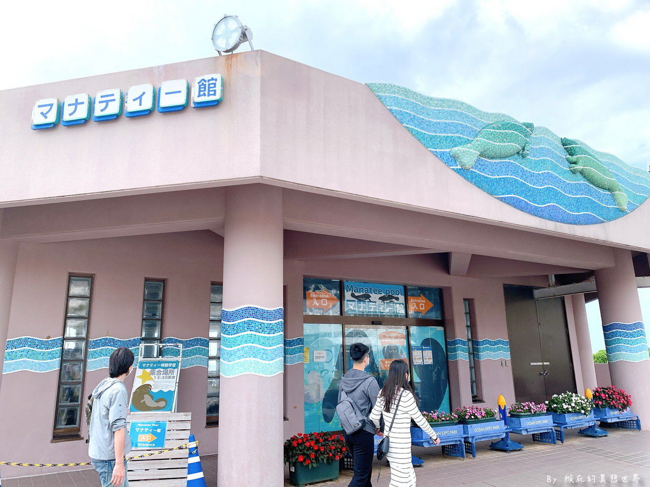 朝聖沖繩最美水族館看鯨鯊，戶外海龜、海牛、海豚表演都免費超佛心，世界第三大水族箱黑潮之海｜沖繩美麗海水族館 @猴屁的異想世界