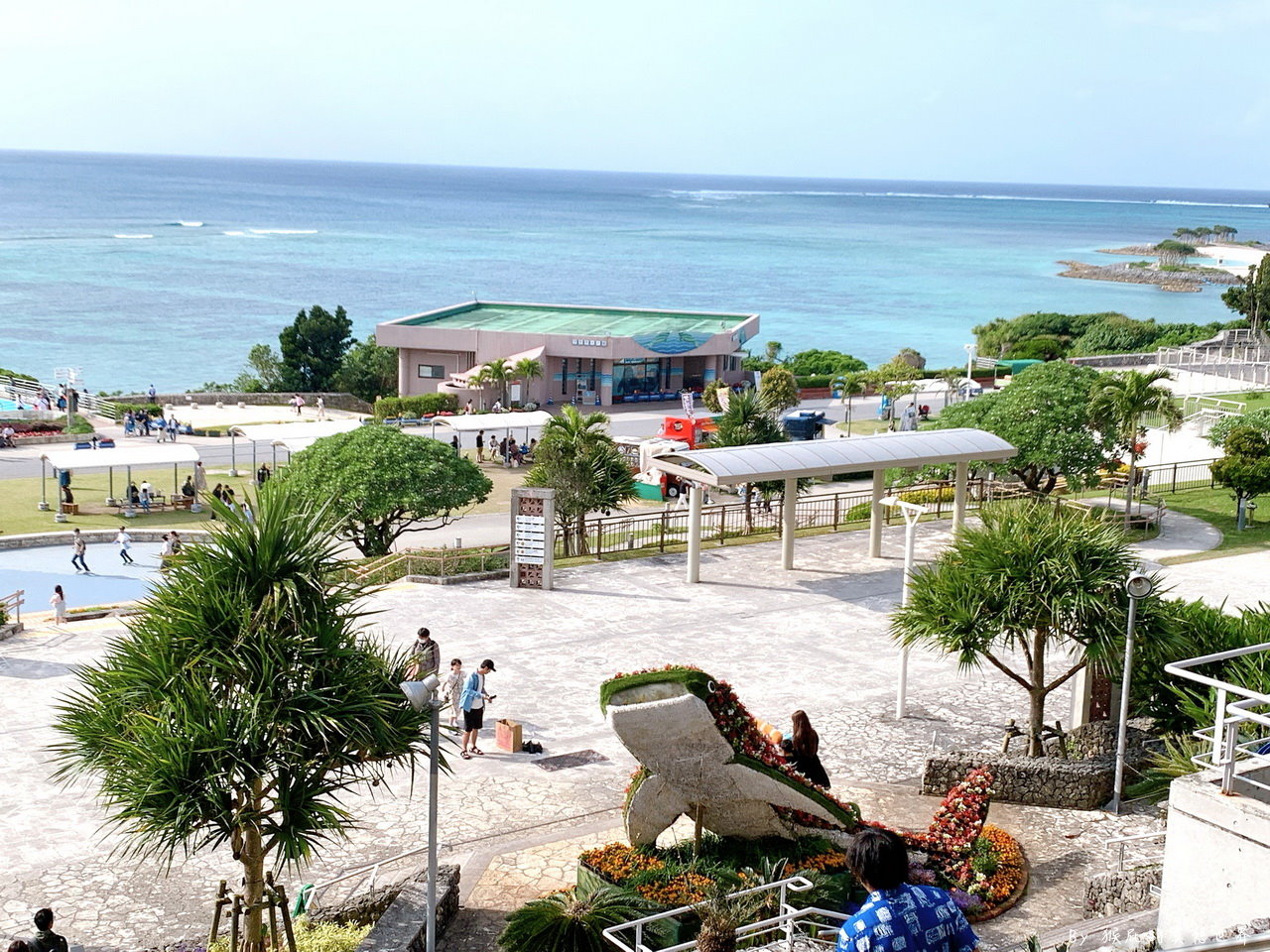 朝聖沖繩最美水族館看鯨鯊，戶外海龜、海牛、海豚表演都免費超佛心，世界第三大水族箱黑潮之海｜沖繩美麗海水族館 @猴屁的異想世界