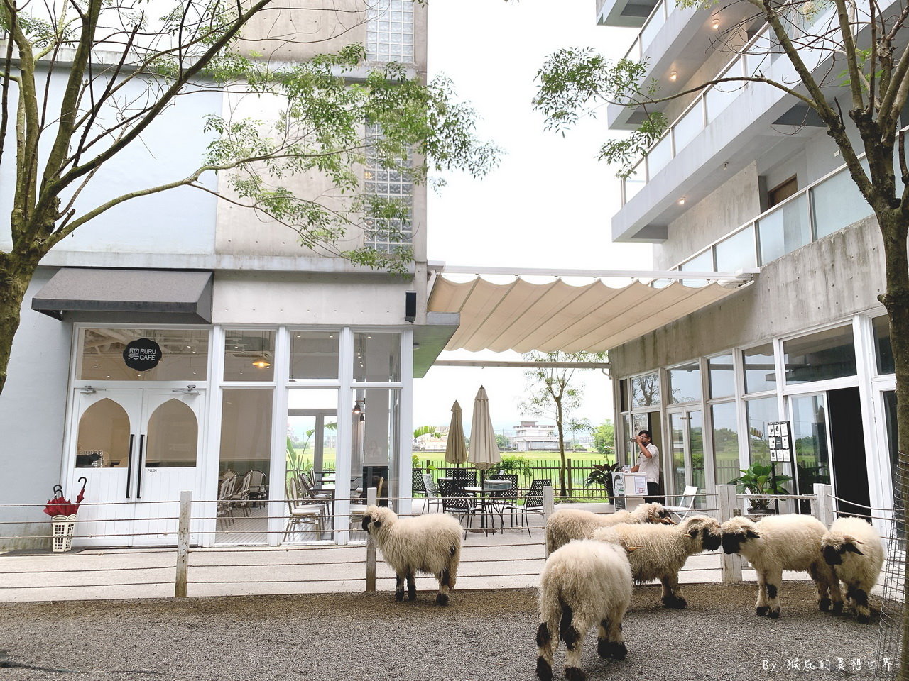 黑RURU CAFE｜宜蘭新景點笑笑羊主題咖啡館，超可愛笑笑羊近距離互動，甜點蛋糕好吃，有免費停車場 @猴屁的異想世界