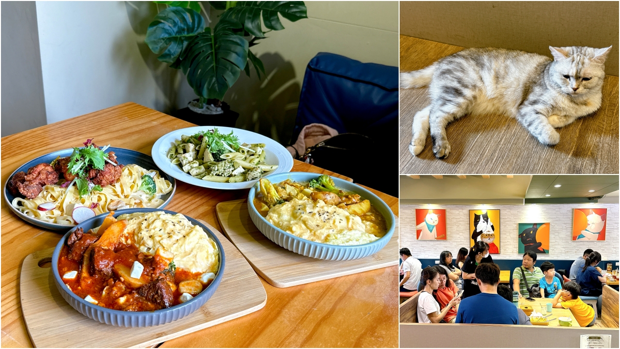 森林小徑文心店｜台中好吃義大利麵，有貓咪寵物友善