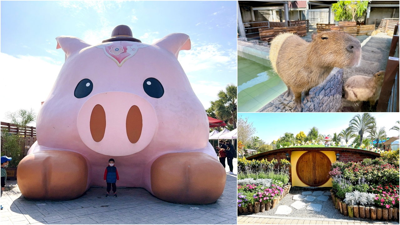 三隻小豬觀光農場｜嘉義親子景點門票只要100元，根本小型動物園，有可愛水豚、狐蒙、浣熊