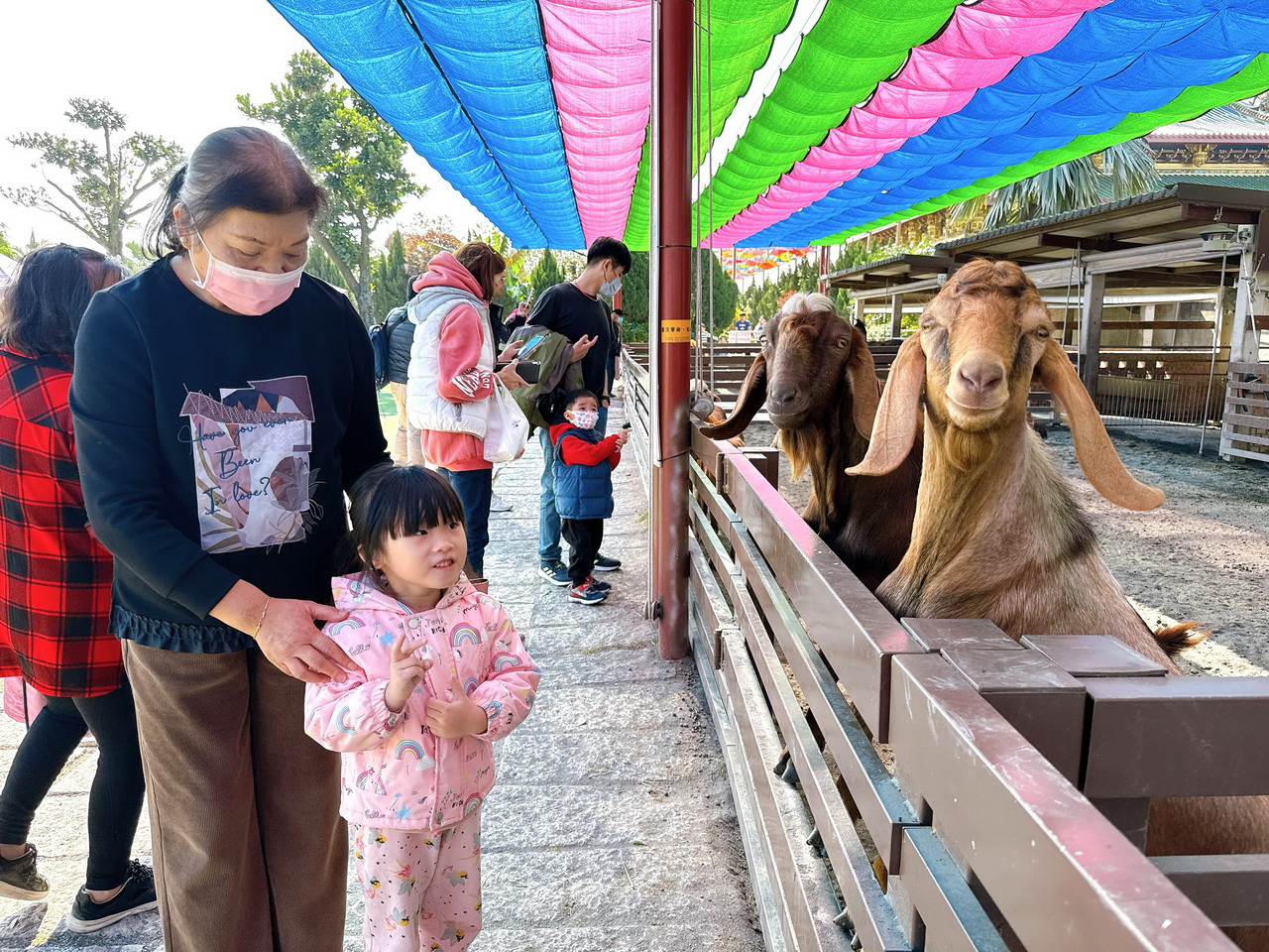 三隻小豬觀光農場｜嘉義親子景點門票只要100元，根本小型動物園，有可愛水豚、狐蒙、浣熊 @猴屁的異想世界