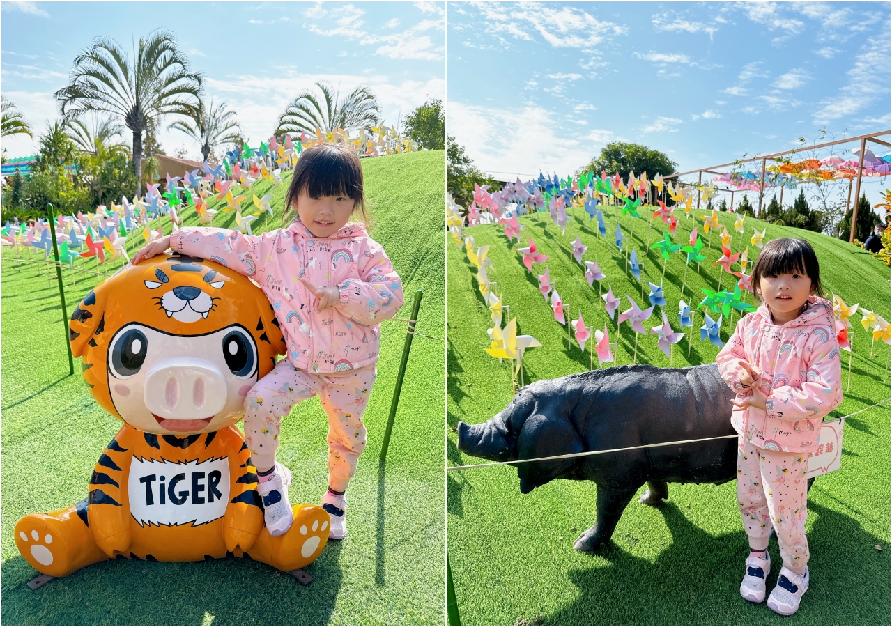 三隻小豬觀光農場｜嘉義親子景點門票只要100元，根本小型動物園，有可愛水豚、狐蒙、浣熊 @猴屁的異想世界