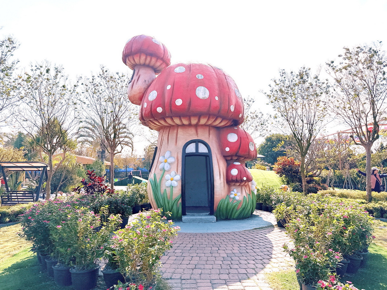 三隻小豬觀光農場｜嘉義親子景點門票只要100元，根本小型動物園，有可愛水豚、狐蒙、浣熊 @猴屁的異想世界