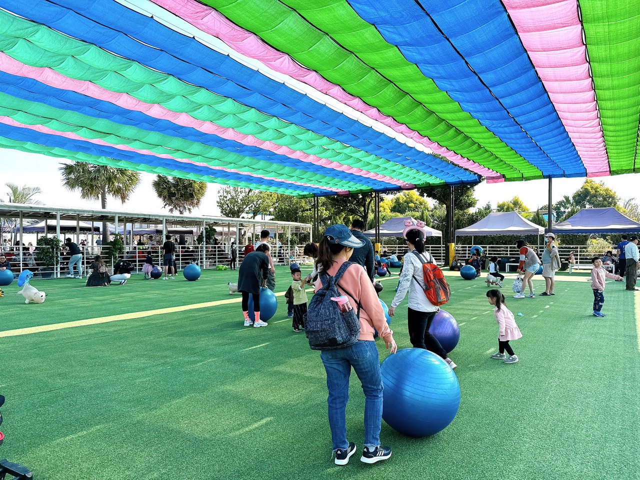 三隻小豬觀光農場｜嘉義親子景點門票只要100元，根本小型動物園，有可愛水豚、狐蒙、浣熊 @猴屁的異想世界