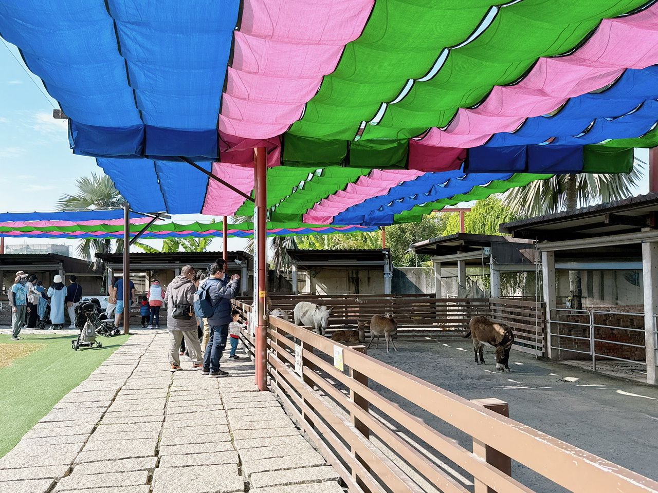 三隻小豬觀光農場｜嘉義親子景點門票只要100元，根本小型動物園，有可愛水豚、狐蒙、浣熊 @猴屁的異想世界