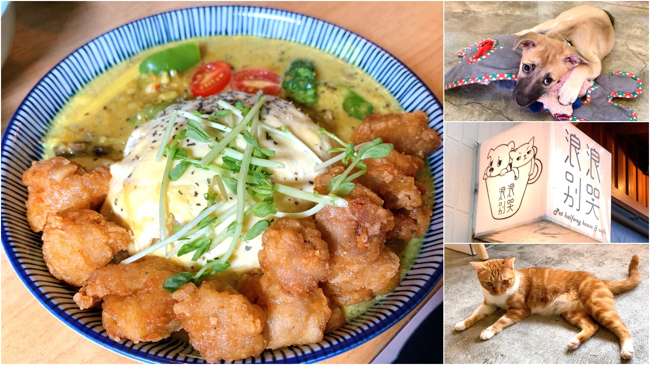 浪浪別哭台中店｜台中毛孩中途咖啡廳，有狗狗貓咪陪你吃飯可以領養，唐揚咖哩雞、青醬雞腿排燉飯很好吃