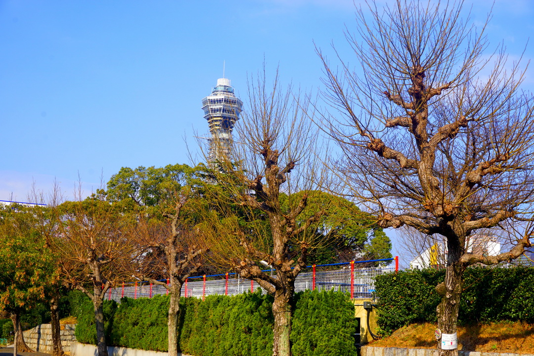 天王寺動物園｜大阪必訪親子景點，大阪周遊卡免費入園，近通天閣步行5分鐘！動物萌樣超療癒 @猴屁的異想世界