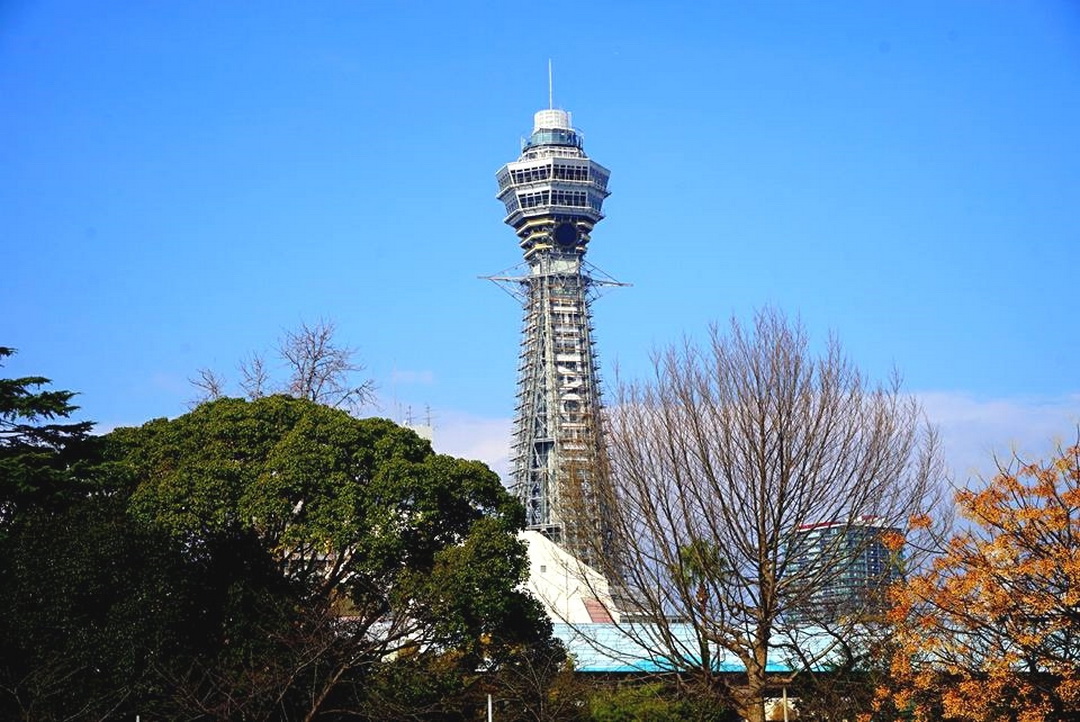 天王寺動物園｜大阪必訪親子景點，大阪周遊卡免費入園，近通天閣步行5分鐘！動物萌樣超療癒 @猴屁的異想世界