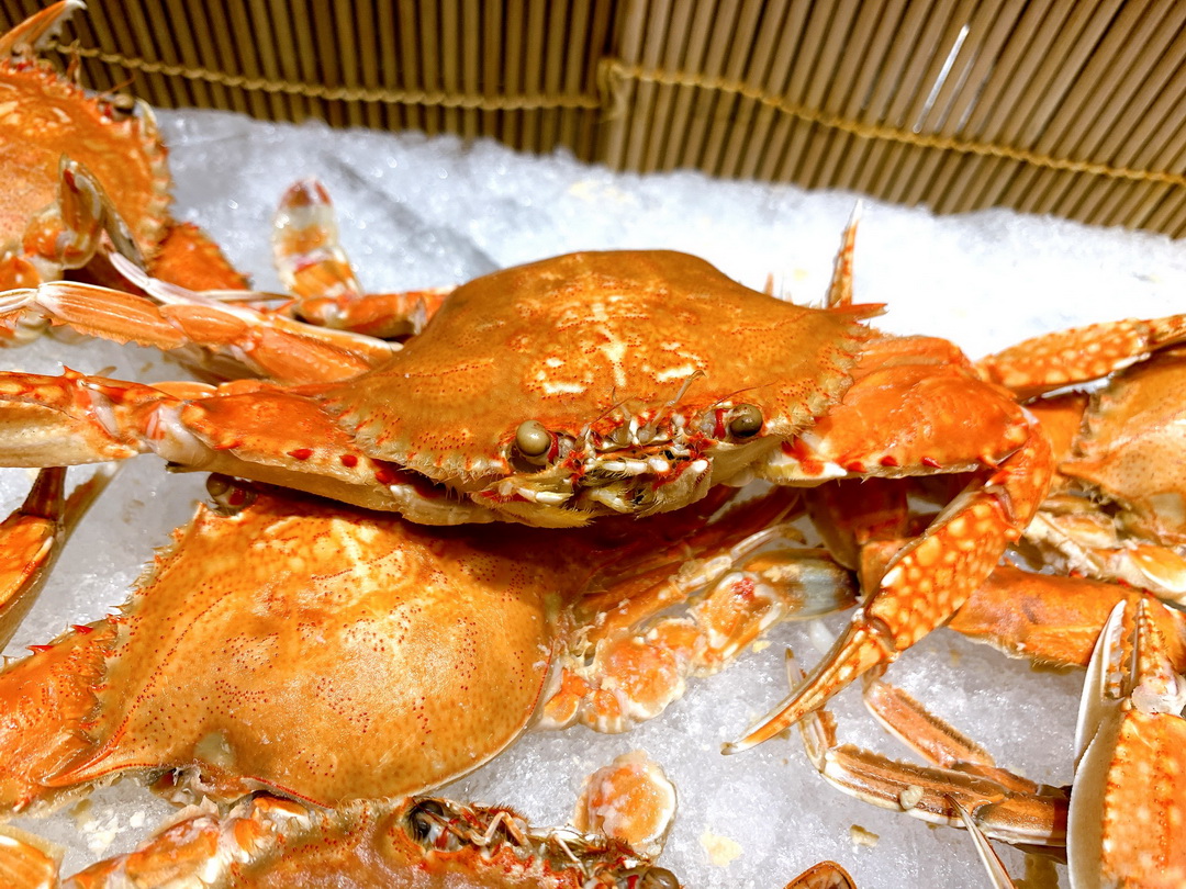 【台中吃到飽推薦】漢來海港餐廳台中店，晚餐8折、壽星優惠、海鮮牛排一次滿足 @猴屁的異想世界
