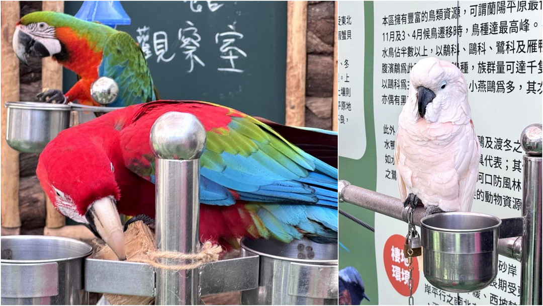 蘭陽動植物王國｜宜蘭親子景點推薦！近距離餵草泥馬、摸水豚、看樹懶，超萌動物互動樂園 @猴屁的異想世界