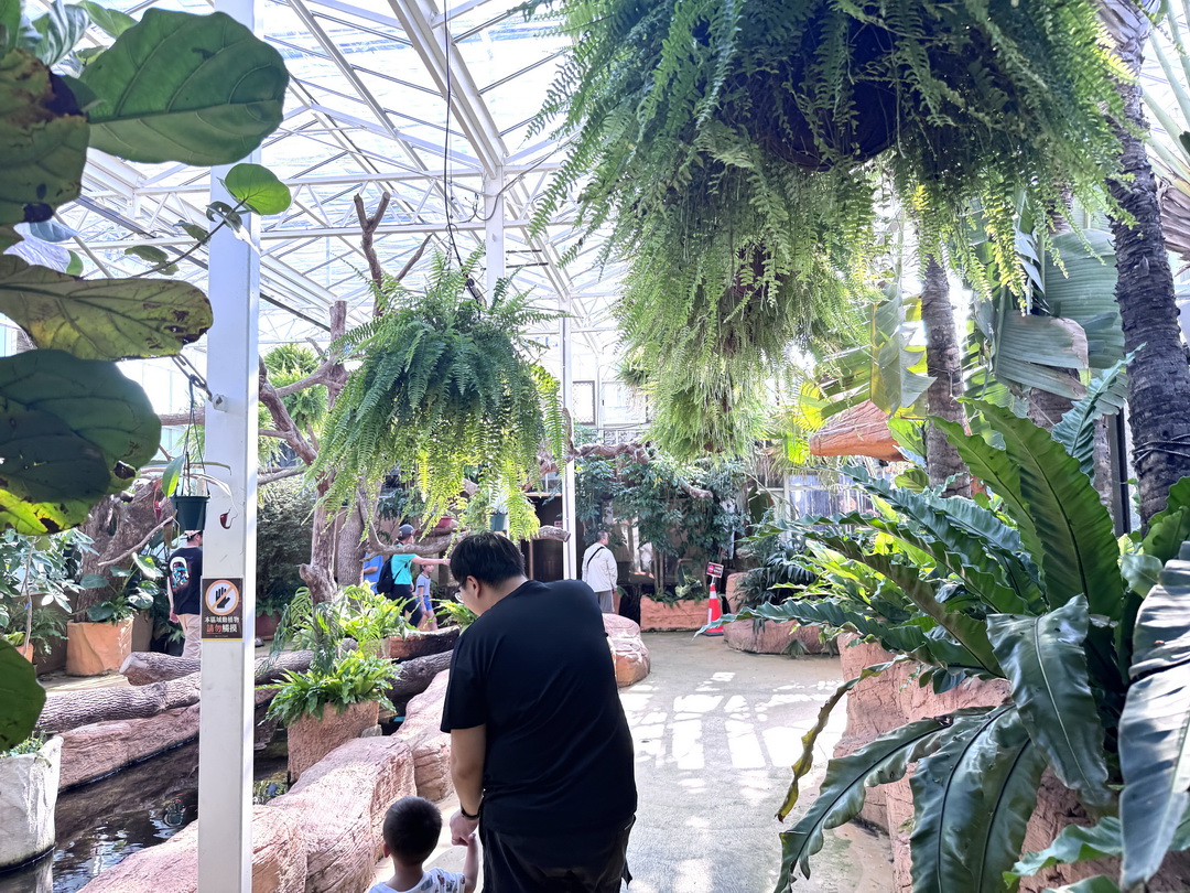 蘭陽動植物王國｜宜蘭親子景點推薦！近距離餵草泥馬、摸水豚、看樹懶，超萌動物互動樂園 @猴屁的異想世界