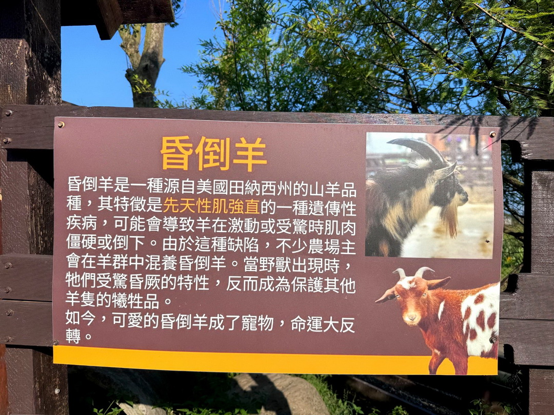 蘭陽動植物王國｜宜蘭親子景點推薦！近距離餵草泥馬、摸水豚、看樹懶，超萌動物互動樂園 @猴屁的異想世界