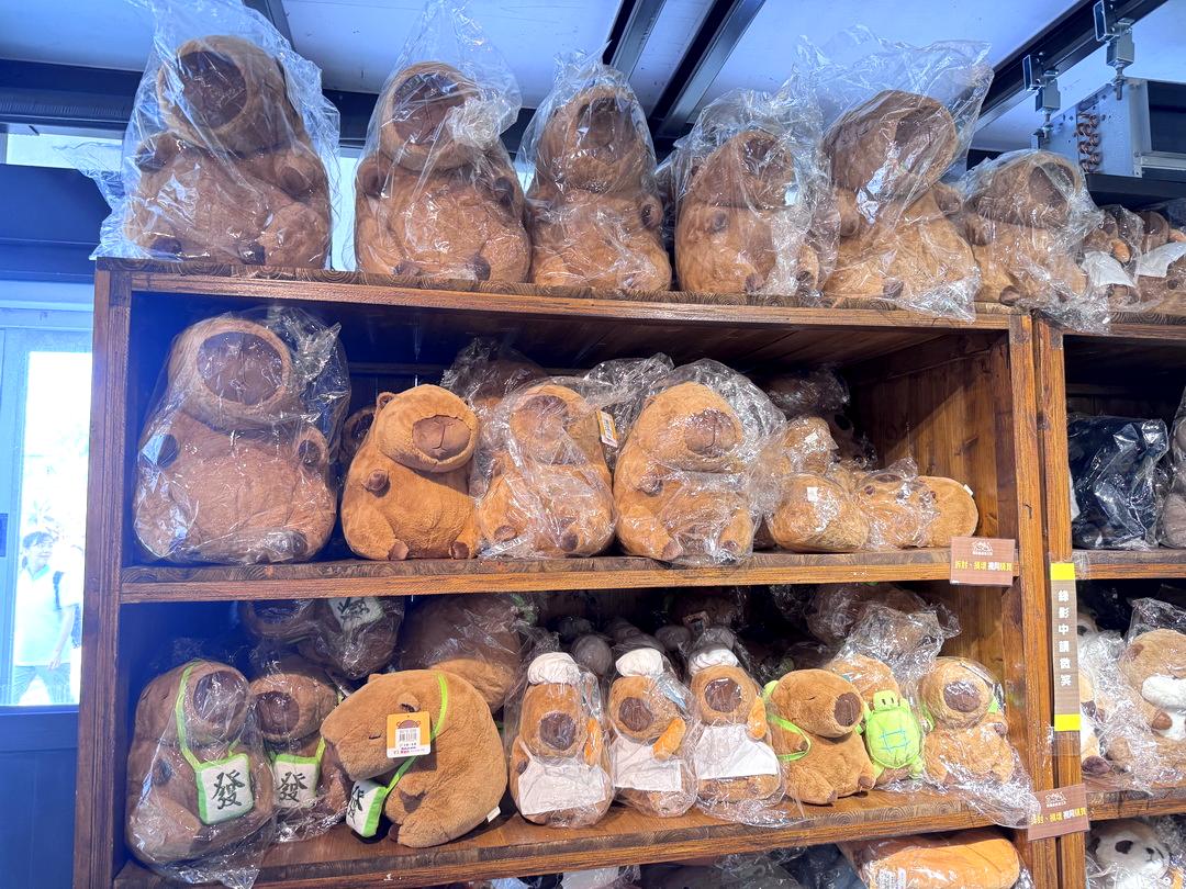 蘭陽動植物王國｜宜蘭親子景點推薦！近距離餵草泥馬、摸水豚、看樹懶，超萌動物互動樂園 @猴屁的異想世界