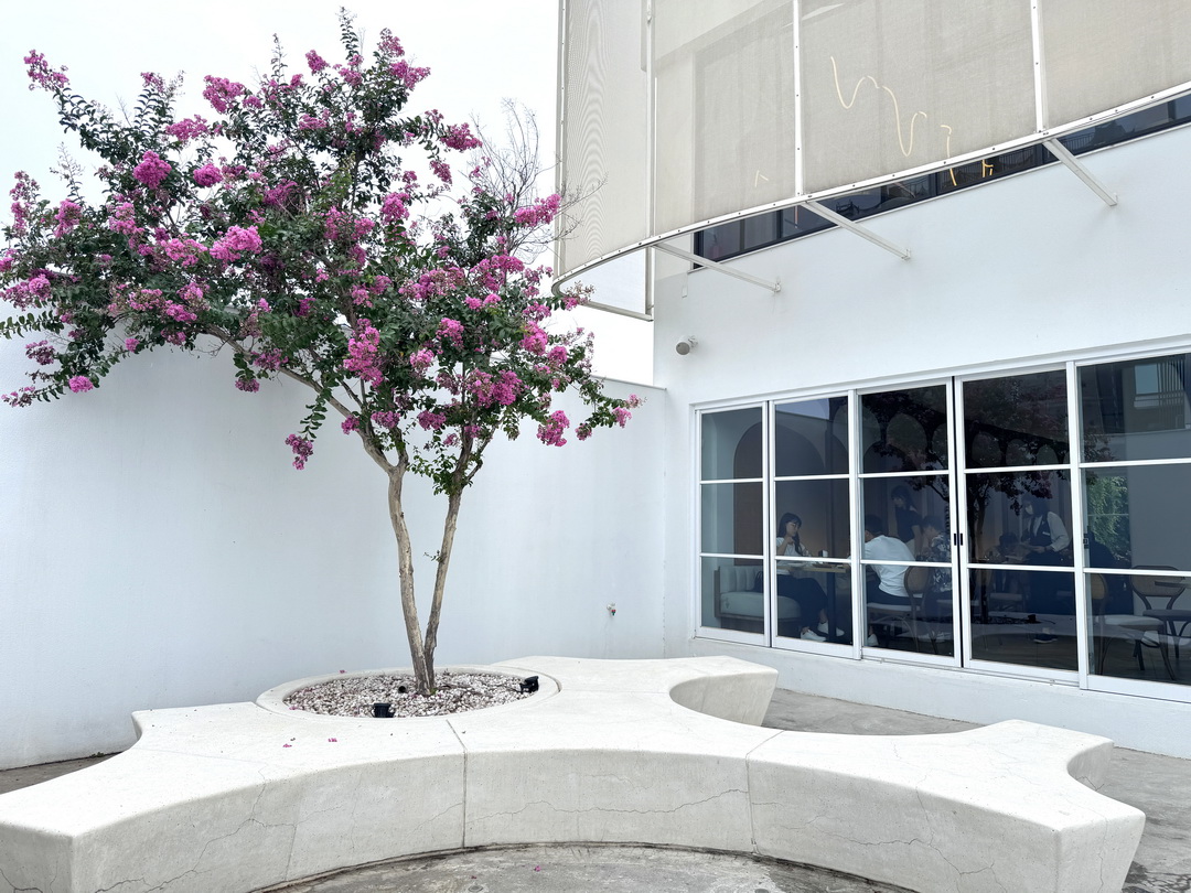 【Les aqua水相餐聚苑】台中超美韓系玻璃屋餐廳，麵包免費續，壽星還送蛋糕＋照片超浮誇 @猴屁的異想世界