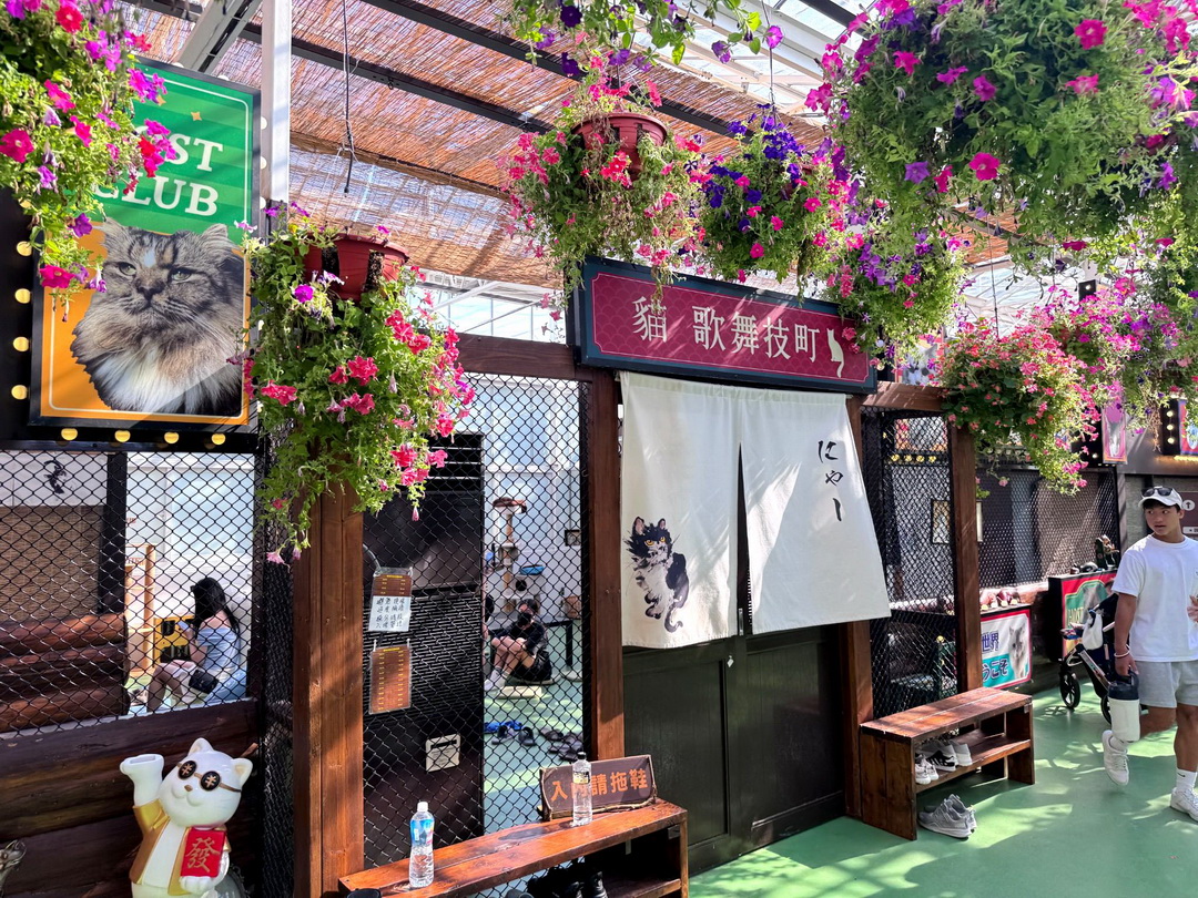 蘭陽動植物王國｜宜蘭親子景點推薦！近距離餵草泥馬、摸水豚、看樹懶，超萌動物互動樂園 @猴屁的異想世界