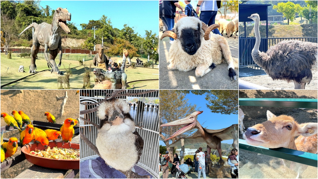 九九峰動物樂園｜南投親子景點推薦！笑笑羊、鸚鵡近距離互動，還有恐龍園區、美食街超豐富