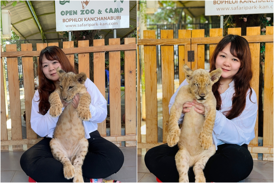 泰國北碧府一日遊｜野生動物園餵老虎獅子、看大象鱷魚表演，雨中漫步死亡鐵路＆桂河大橋 @猴屁的異想世界