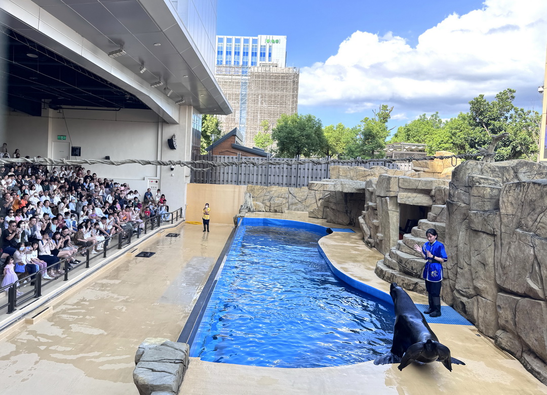 Xpark水族館｜桃園必訪水族館，企鵝奇遇、戶外園區、表演時間全攻略 @猴屁的異想世界