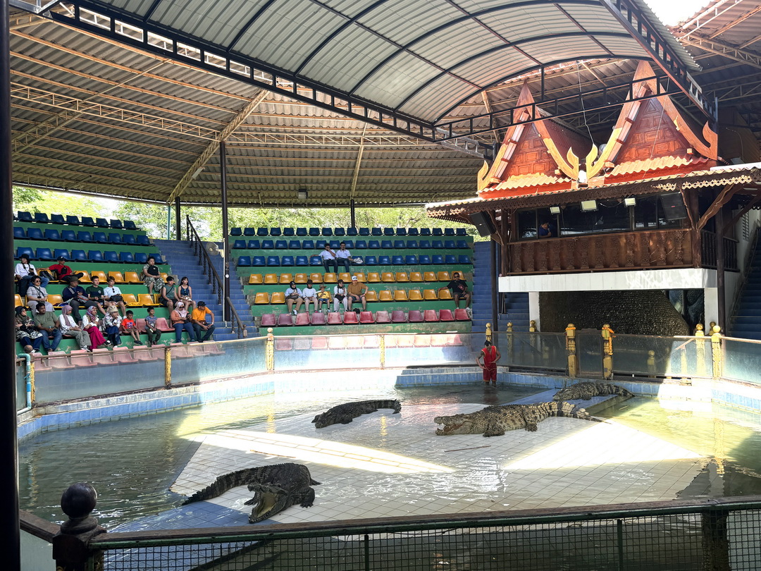 泰國北碧府一日遊｜野生動物園餵老虎獅子、看大象鱷魚表演，雨中漫步死亡鐵路＆桂河大橋 @猴屁的異想世界