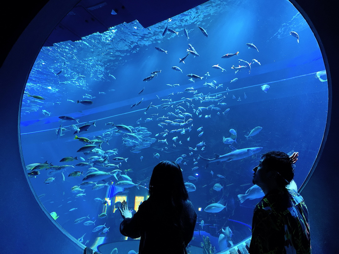 沖繩DMM Kariyushi水族館｜沉浸式互動體驗，企鵝、海底隧道、動物園全攻略 @猴屁的異想世界