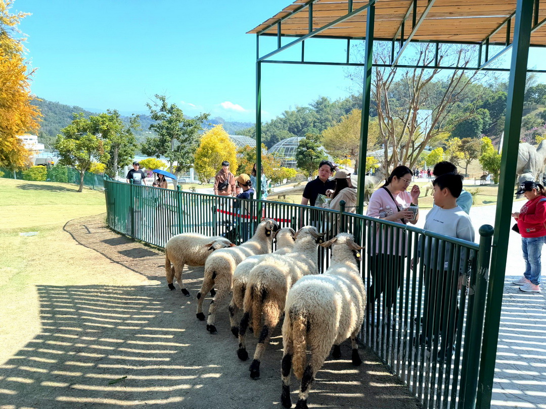 九九峰動物樂園｜南投親子景點推薦！笑笑羊、鸚鵡近距離互動，還有恐龍園區、美食街超豐富 @猴屁的異想世界